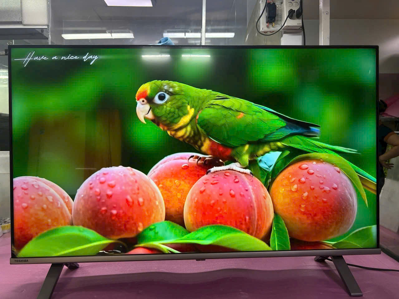 Cho Thuê Tivi Giá Rẻ tại TPHCM